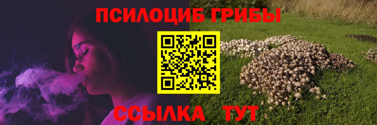 Махачкала  Галлюциногенные грибы Psilocybine cubensis  Галлюциногенные грибы Psilocybe  Вход с VPN 