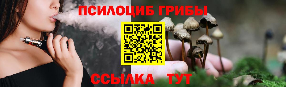 Псилоцибиновые грибы мухоморы Махачкала