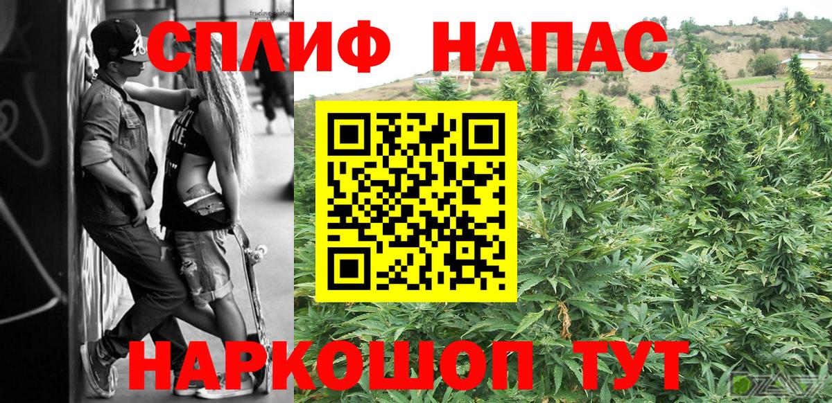 Бошки Шишки план Махачкала